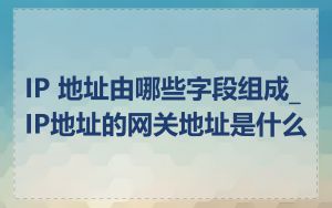 IP 地址由哪些字段组成_IP地址的网关地址是什么