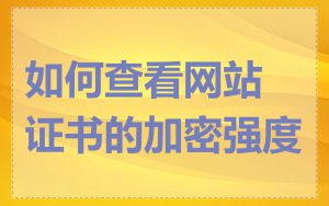 如何查看网站证书的加密强度