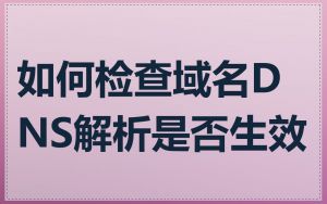 如何检查域名DNS解析是否生效