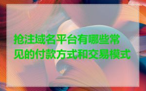 抢注域名平台有哪些常见的付款方式和交易模式