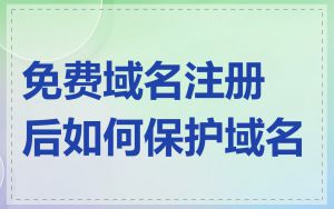 免费域名注册后如何保护域名