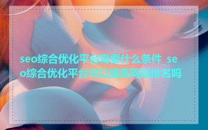 seo综合优化平台需要什么条件_seo综合优化平台可以提高网站排名吗