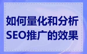 如何量化和分析SEO推广的效果