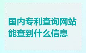 国内专利查询网站能查到什么信息