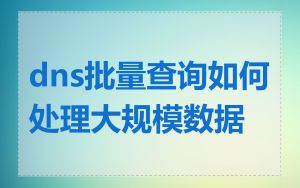 dns批量查询如何处理大规模数据