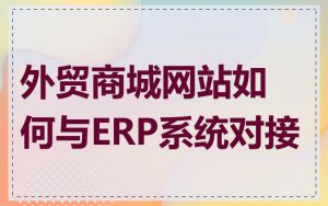 外贸商城网站如何与ERP系统对接
