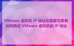 VMware 虚拟机 IP 地址在哪里可查看_如何确定 VMware 虚拟机的 IP 地址