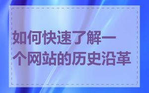 如何快速了解一个网站的历史沿革
