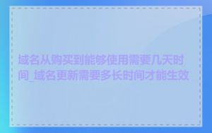 域名从购买到能够使用需要几天时间_域名更新需要多长时间才能生效