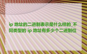 ip 地址的二进制表示是什么样的_不同类型的 ip 地址有多少个二进制位