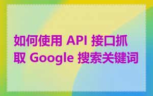 如何使用 API 接口抓取 Google 搜索关键词