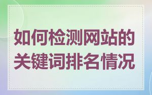 如何检测网站的关键词排名情况