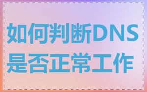 如何判断DNS是否正常工作