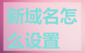 新域名怎么设置