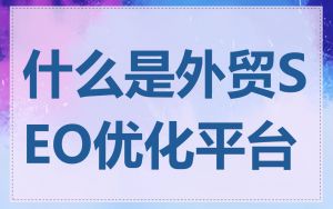 什么是外贸SEO优化平台
