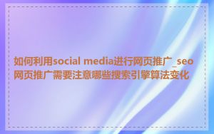 如何利用social media进行网页推广_seo网页推广需要注意哪些搜索引擎算法变化