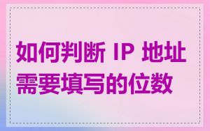如何判断 IP 地址需要填写的位数