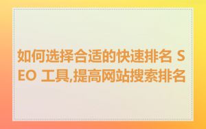 如何选择合适的快速排名 SEO 工具,提高网站搜索排名