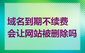 域名到期不续费会让网站被删除吗