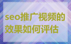 seo推广视频的效果如何评估