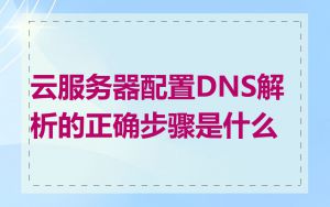 云服务器配置DNS解析的正确步骤是什么