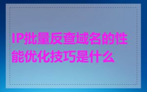 IP批量反查域名的性能优化技巧是什么