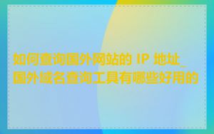 如何查询国外网站的 IP 地址_国外域名查询工具有哪些好用的