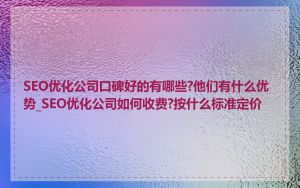 SEO优化公司口碑好的有哪些?他们有什么优势_SEO优化公司如何收费?按什么标准定价
