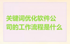 关键词优化软件公司的工作流程是什么