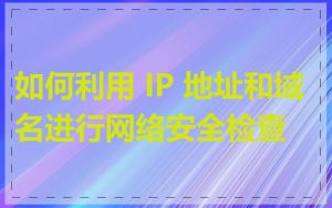 如何利用 IP 地址和域名进行网络安全检查