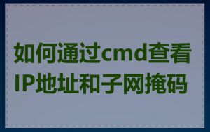 如何通过cmd查看IP地址和子网掩码