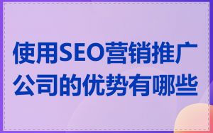 使用SEO营销推广公司的优势有哪些