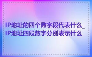 IP地址的四个数字段代表什么_IP地址四段数字分别表示什么