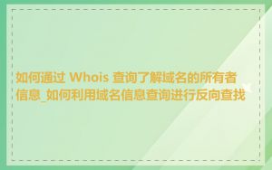 如何通过 Whois 查询了解域名的所有者信息_如何利用域名信息查询进行反向查找