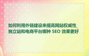 如何利用外链建设来提高网站权威性_独立站和电商平台哪种 SEO 效果更好