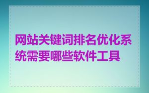 网站关键词排名优化系统需要哪些软件工具