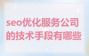 seo优化服务公司的技术手段有哪些