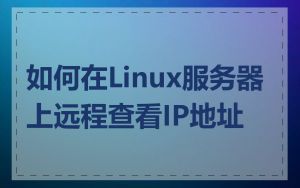 如何在Linux服务器上远程查看IP地址