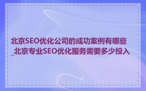 北京SEO优化公司的成功案例有哪些_北京专业SEO优化服务需要多少投入