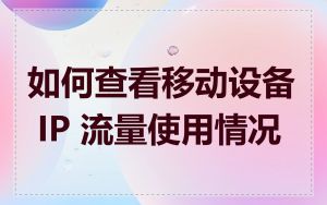 如何查看移动设备 IP 流量使用情况