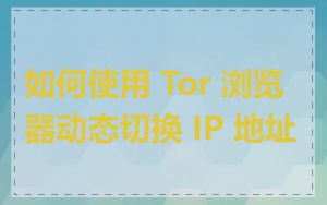 如何使用 Tor 浏览器动态切换 IP 地址