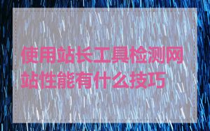 使用站长工具检测网站性能有什么技巧