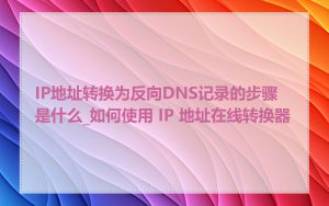 IP地址转换为反向DNS记录的步骤是什么_如何使用 IP 地址在线转换器