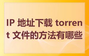 IP 地址下载 torrent 文件的方法有哪些