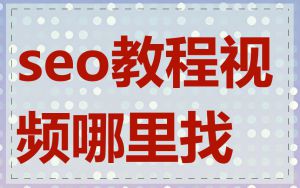 seo教程视频哪里找