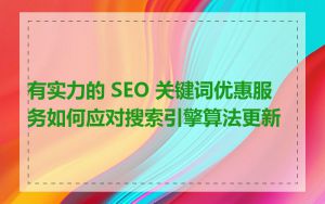 有实力的 SEO 关键词优惠服务如何应对搜索引擎算法更新