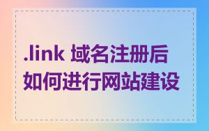 .link 域名注册后如何进行网站建设