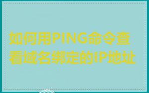如何用PING命令查看域名绑定的IP地址