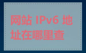 网站 IPv6 地址在哪里查