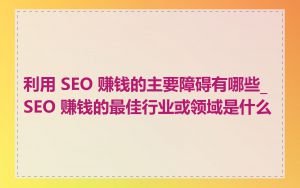 利用 SEO 赚钱的主要障碍有哪些_SEO 赚钱的最佳行业或领域是什么